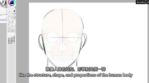 學(xué)習(xí)如何用平板電腦設(shè)計(jì)和繪制自己的動(dòng)漫角色 應(yīng)用軟件服務(wù)指南